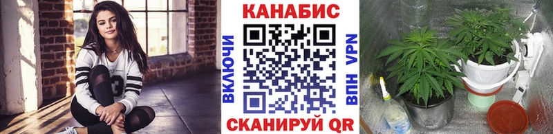 Где купить Екатеринбург ГАШИШ  Бошки Шишки  A PVP  Псилоцибиновые грибы  Меф мяу мяу 